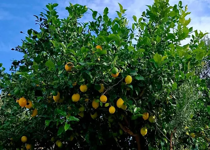 A&j Punta Prima Lägenhet